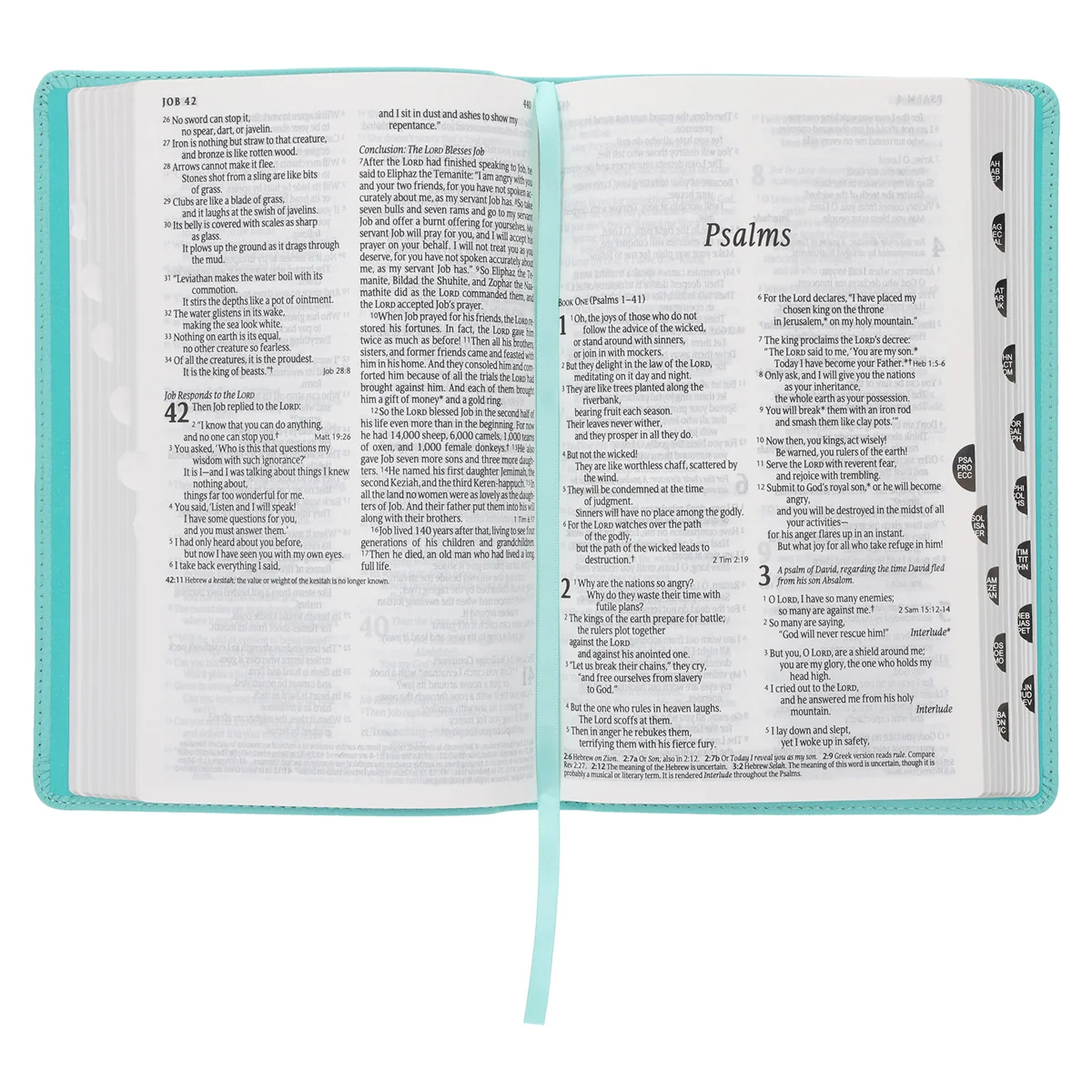NLT Aquamarine Genuine Leather Flexcover Standard Bible - Image 5