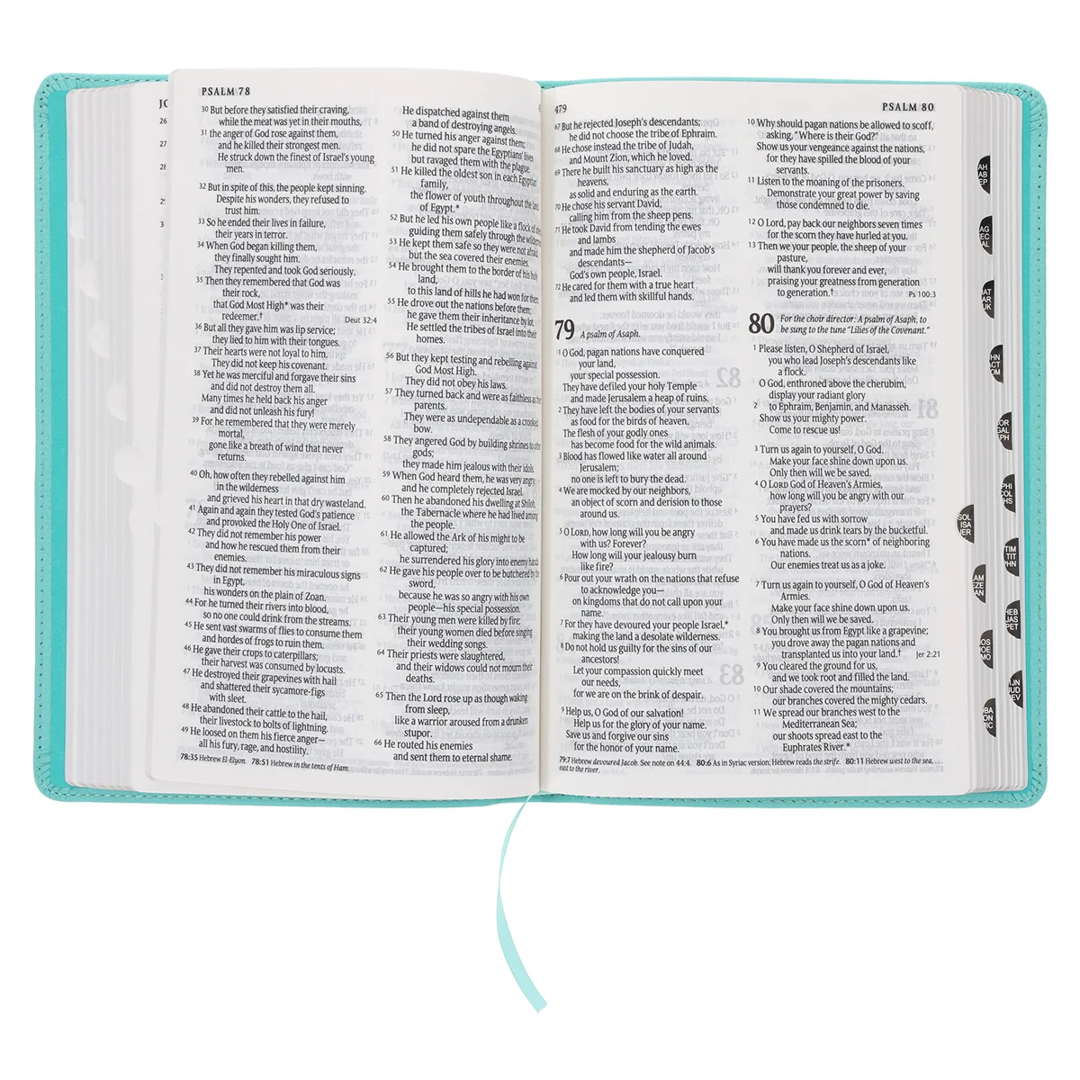 NLT Aquamarine Genuine Leather Flexcover Standard Bible - Image 6