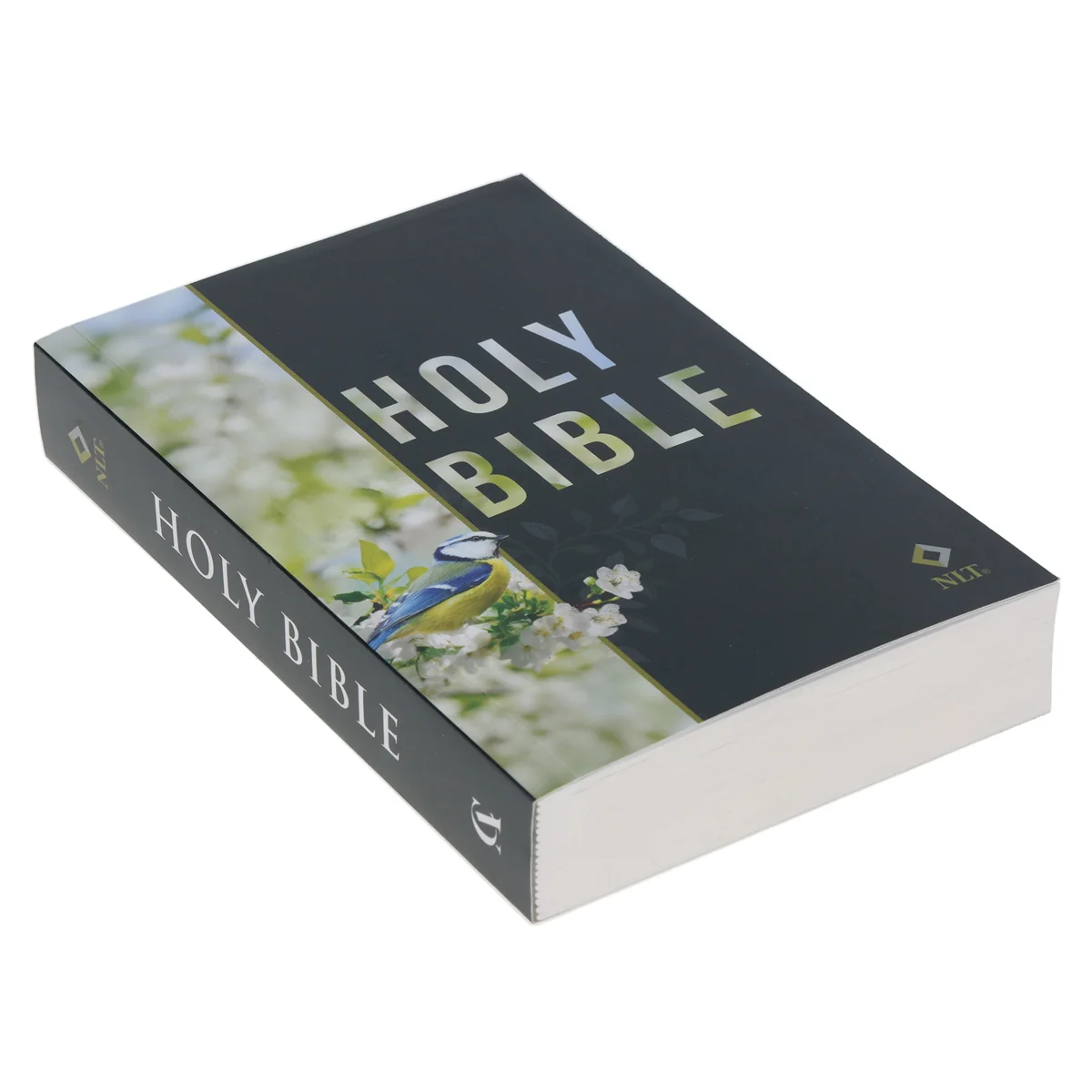 NLT Bird Paperback Compact Bible - Image 3