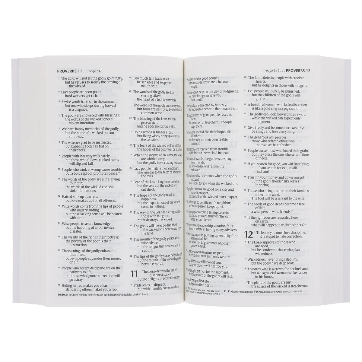 NLT Bird Paperback Compact Bible - Image 5