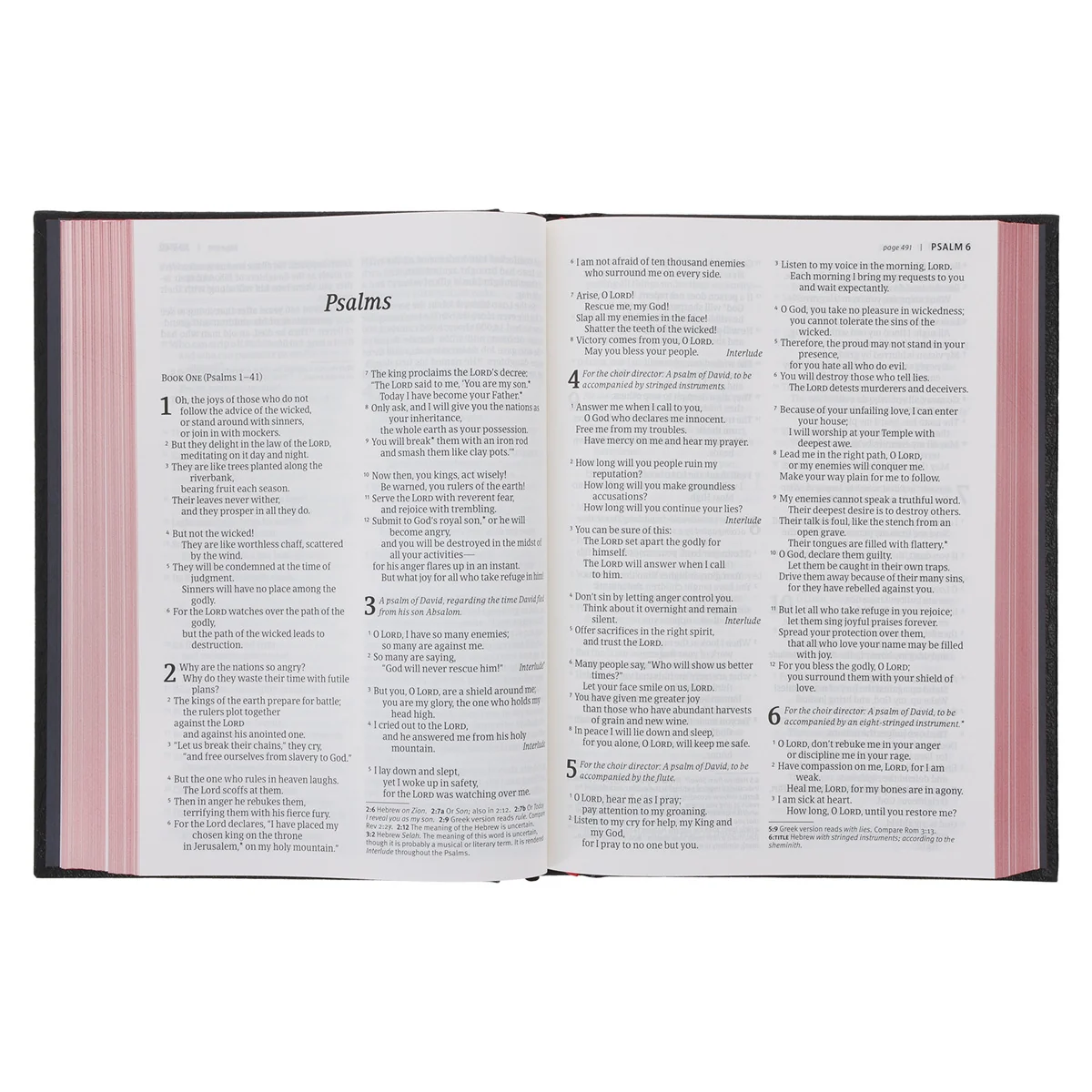 NLT Black Hardcover Bible Large Print - Image 5
