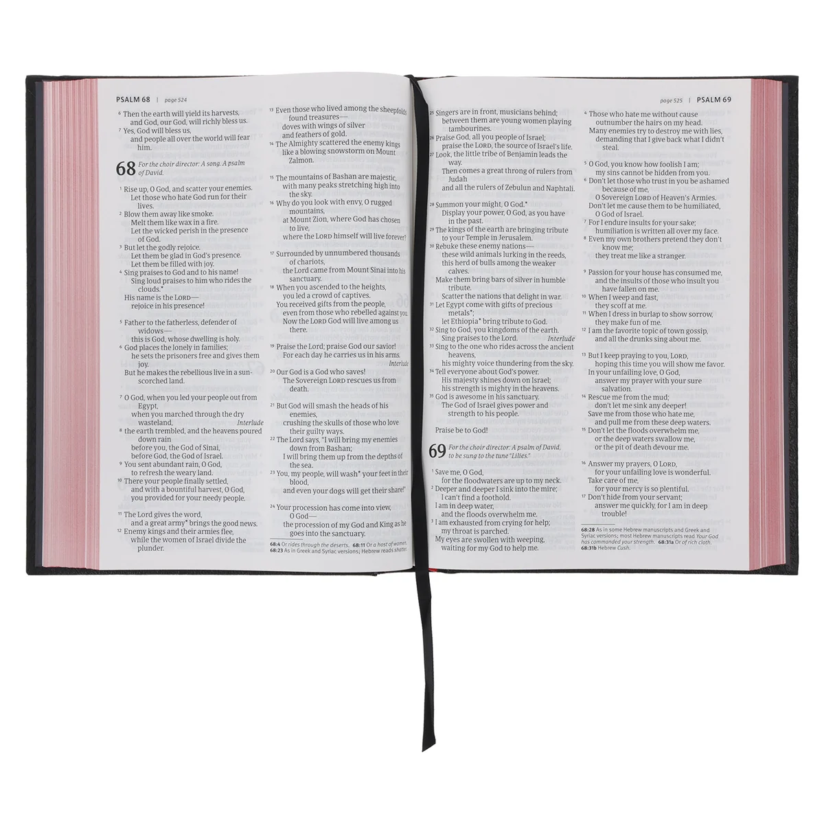 NLT Black Hardcover Bible Large Print - Image 6