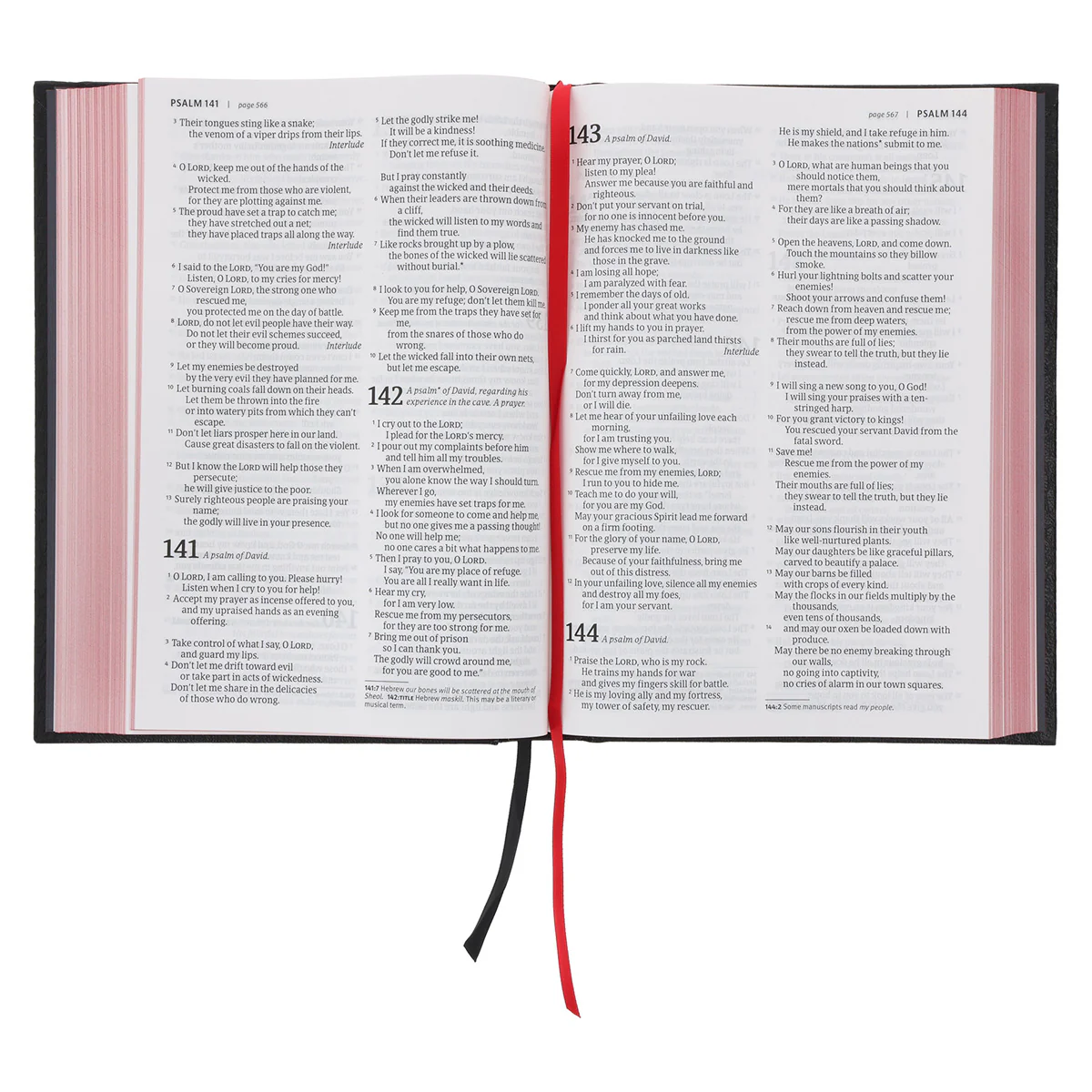 NLT Black Hardcover Bible Large Print - Image 7