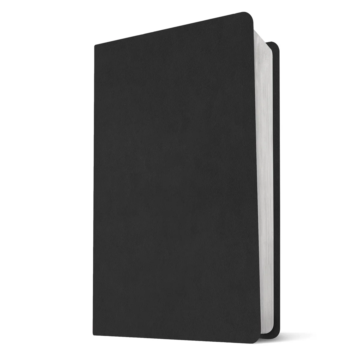 NLT Black Imitation Leather Filament Premium Value Thinline Bible Giant Print - Image 2