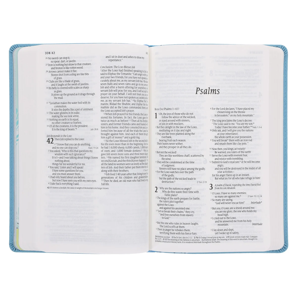 NLT Blue Elephant Flexcover Faux Leather Baby Bible for Boys - Image 5