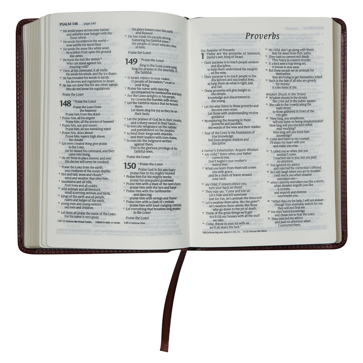 NLT Brown Faux Leather Flexcover Compact Bible - Image 7