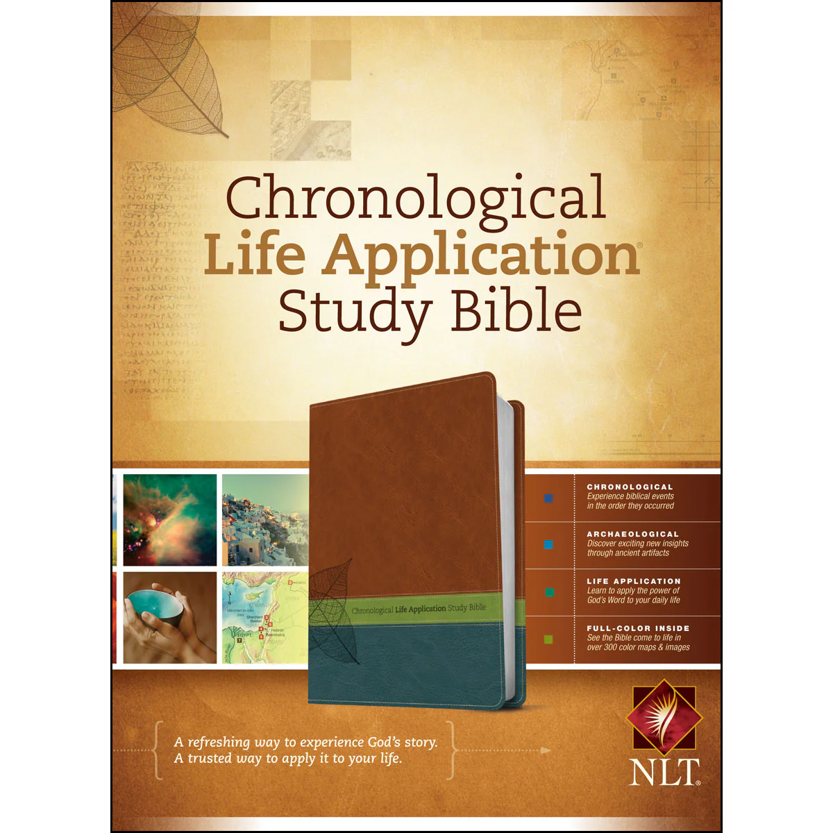 NLT Chronological LASB Two Tone Brown / Green / Dark Teal (Imitation Leather)