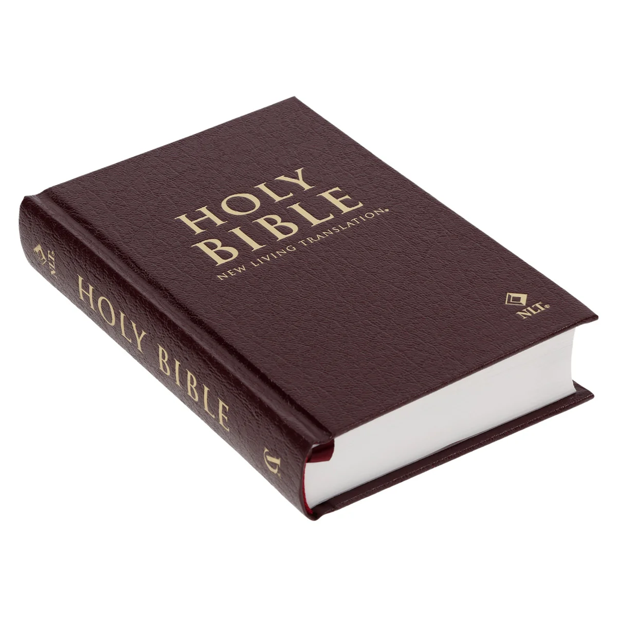 NLT Compact Bible Burgundy Hardcover - Image 3