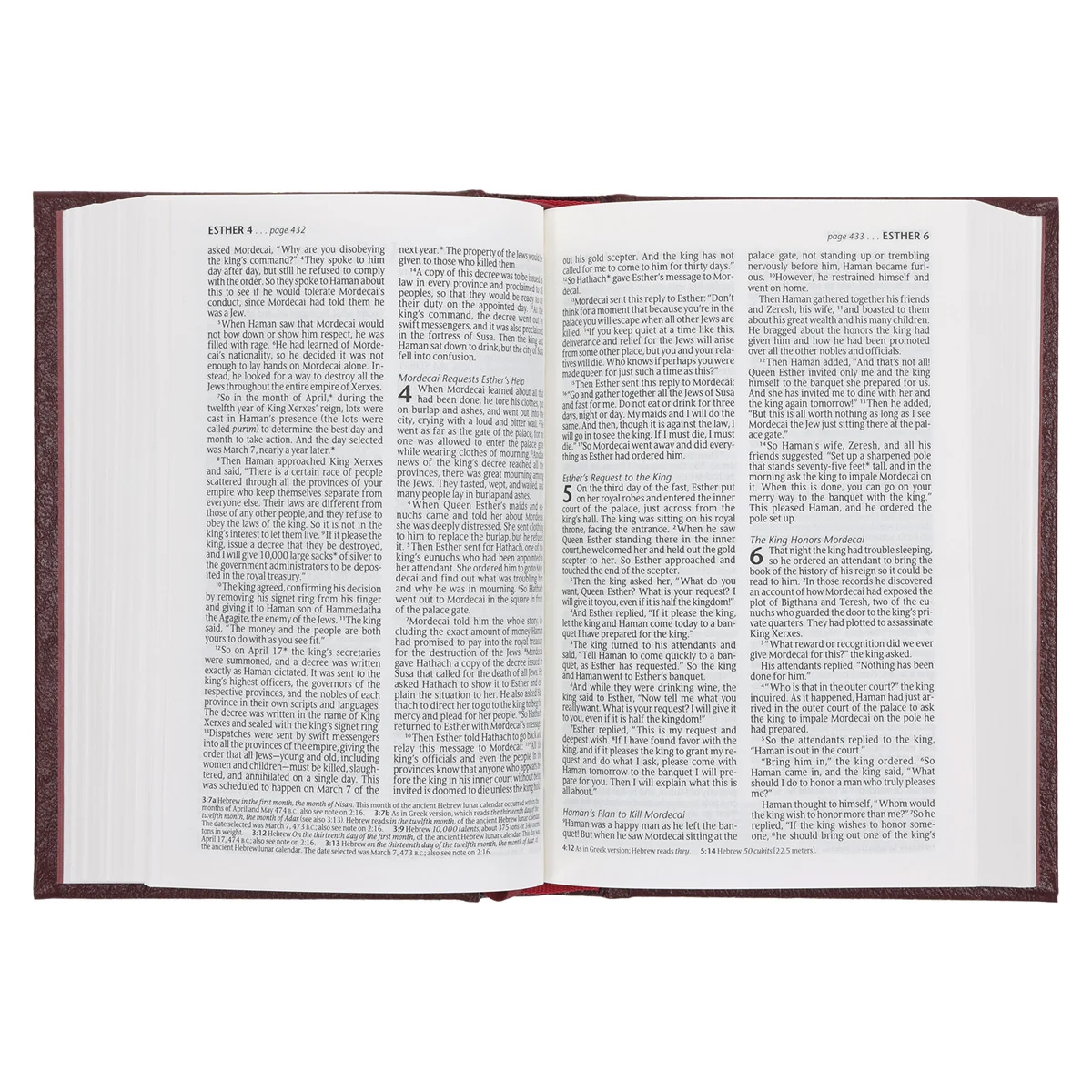 NLT Compact Bible Burgundy Hardcover - Image 5