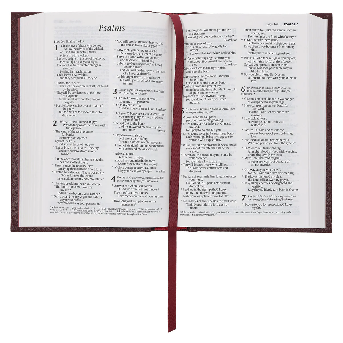 NLT Compact Bible Burgundy Hardcover - Image 6