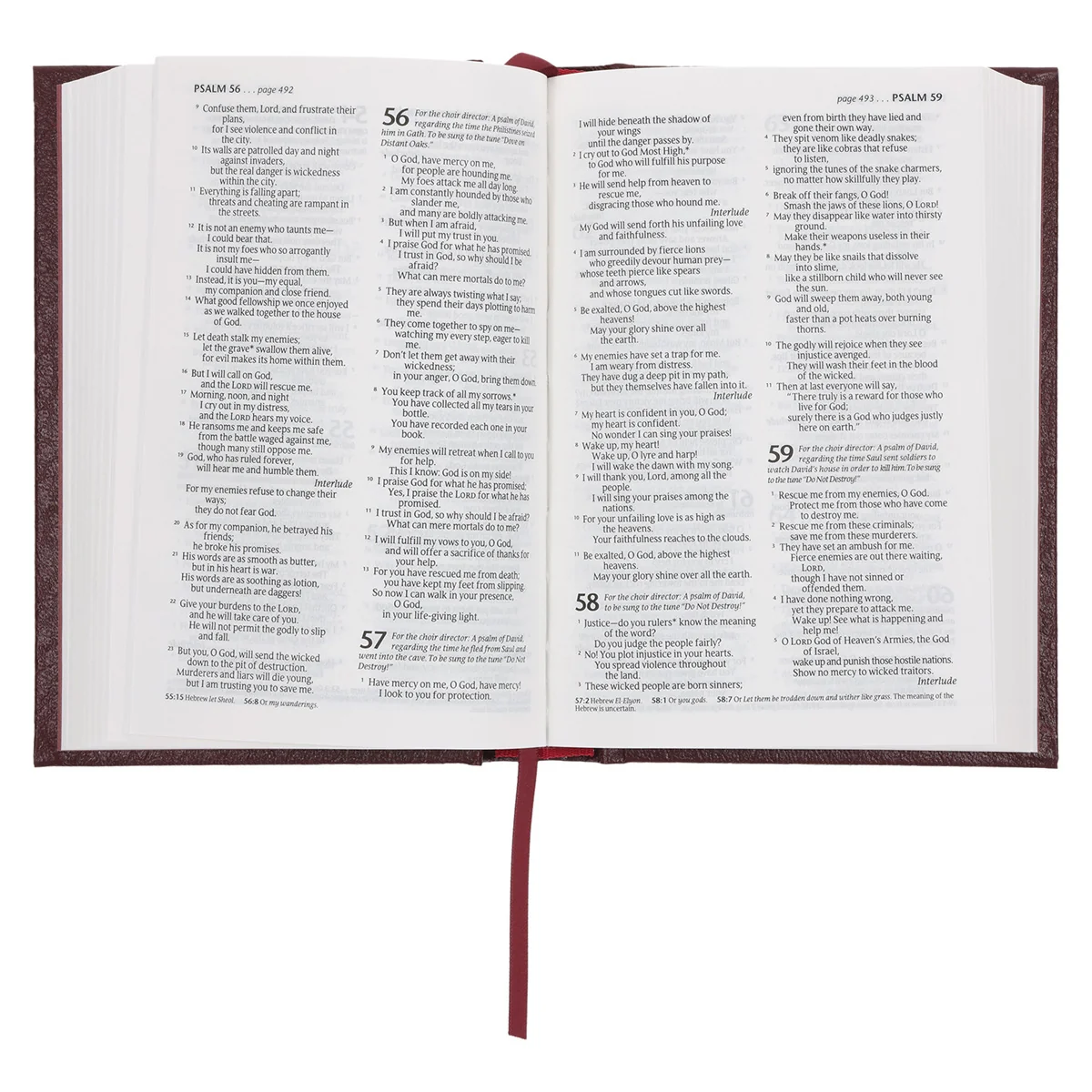 NLT Compact Bible Burgundy Hardcover - Image 7