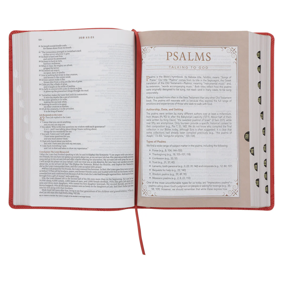 NLT Coral Faux Leather Spiritual Growth Bible - Image 5