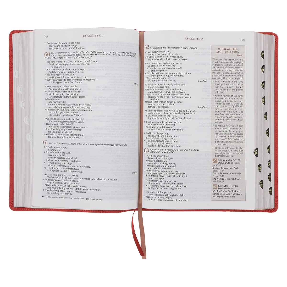 NLT Coral Faux Leather Spiritual Growth Bible - Image 6