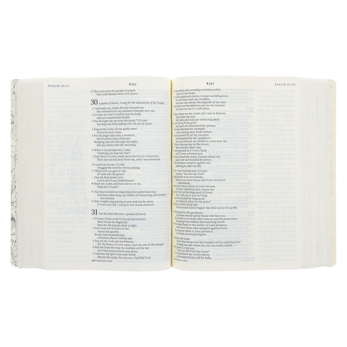 NLT Cream Floral Paperback Inspire Filament-Enabled Bible - Image 6
