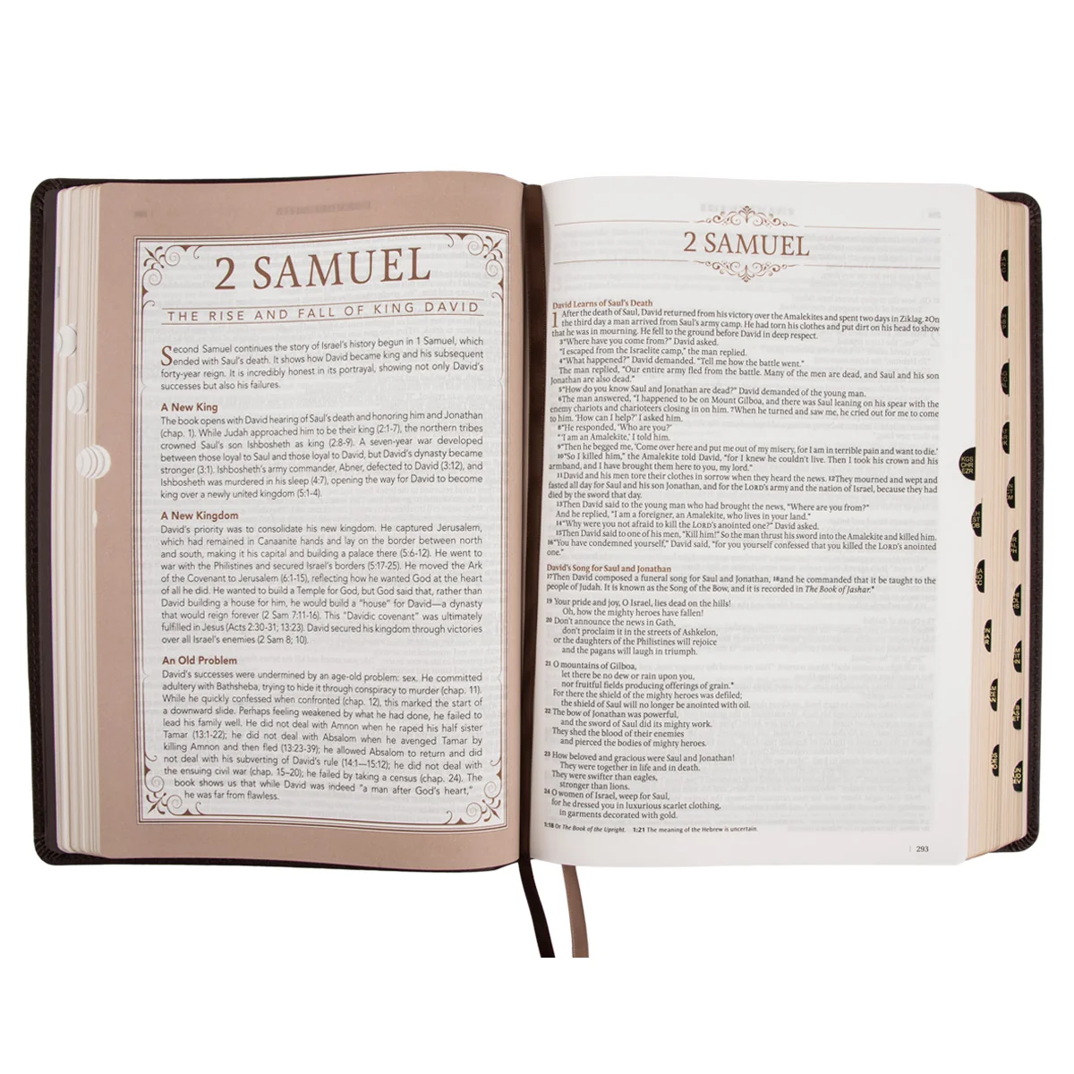 NLT Dark Brown Faux Leather Thumb Indexed Spiritual Growth Bible - Image 6