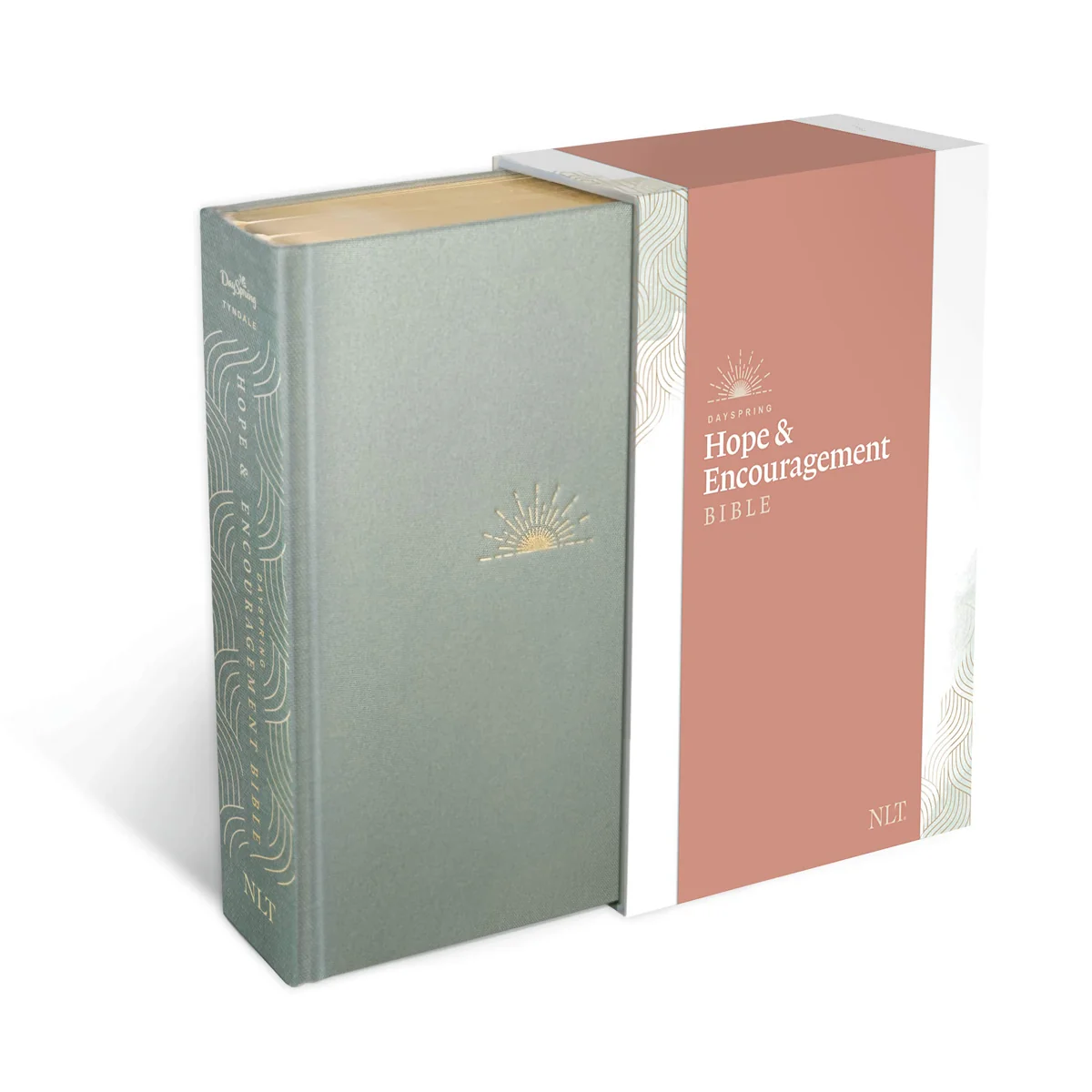 NLT DaySpring Hope & Encouragement Bible, Seafoam Green (Hardcover) - Image 3