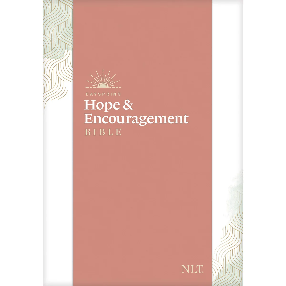 NLT DaySpring Hope & Encouragement Bible, Seafoam Green (Hardcover) - Image 4
