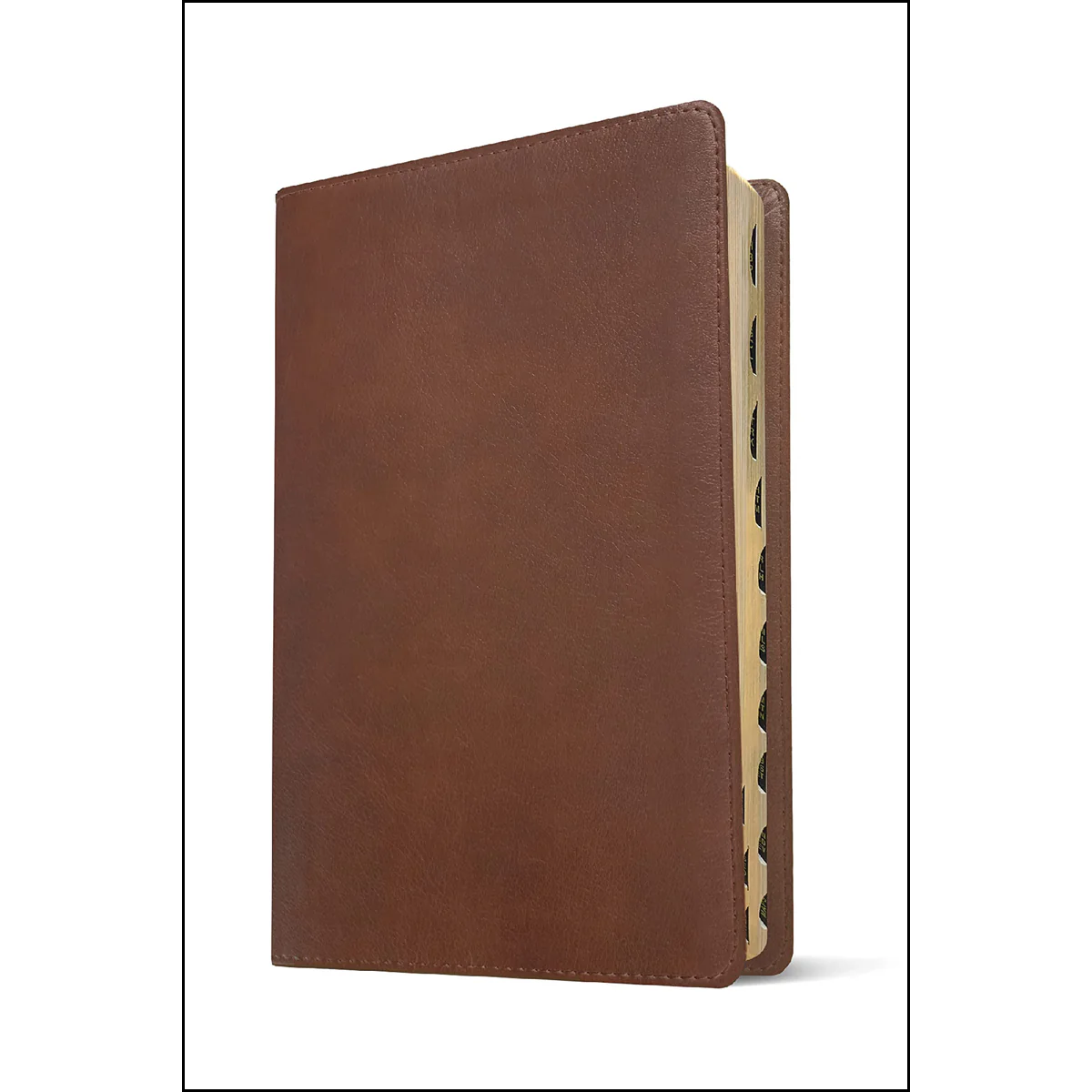 NLT Filament Bible Super Giant Print Red Letter Brown Indexed (Imitation Leather)