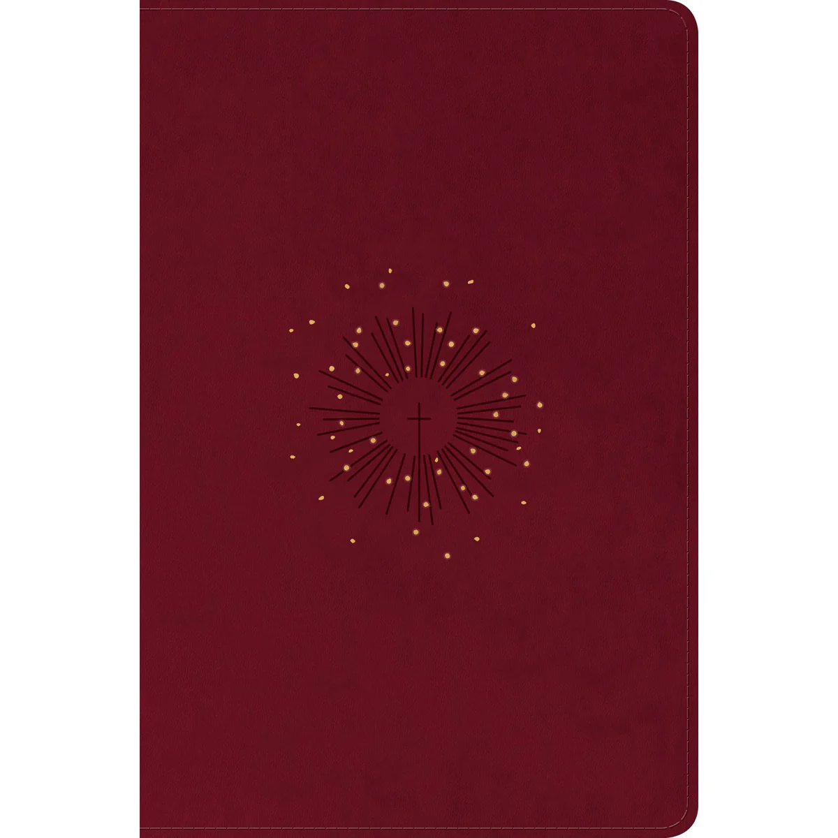 NLT Filament Personal Size, Giant Print Bible, Red Letter, Cranberry (Imitation Leather)