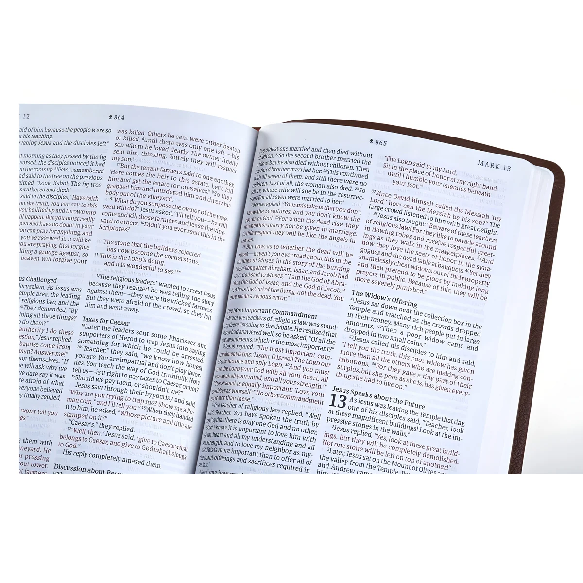 NLT Filament Thinline Reference Bible Red Letter Rustic Brown (Imitation Leather) - Image 5