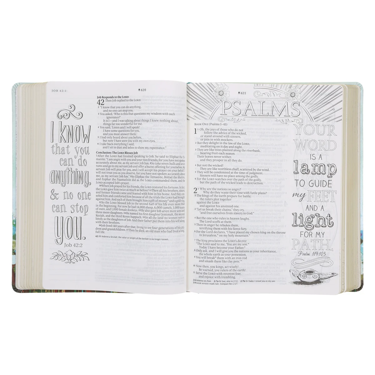 NLT Floral Fields Faux Leather Inspire Large Print Filament-Enabled Bible - Image 4