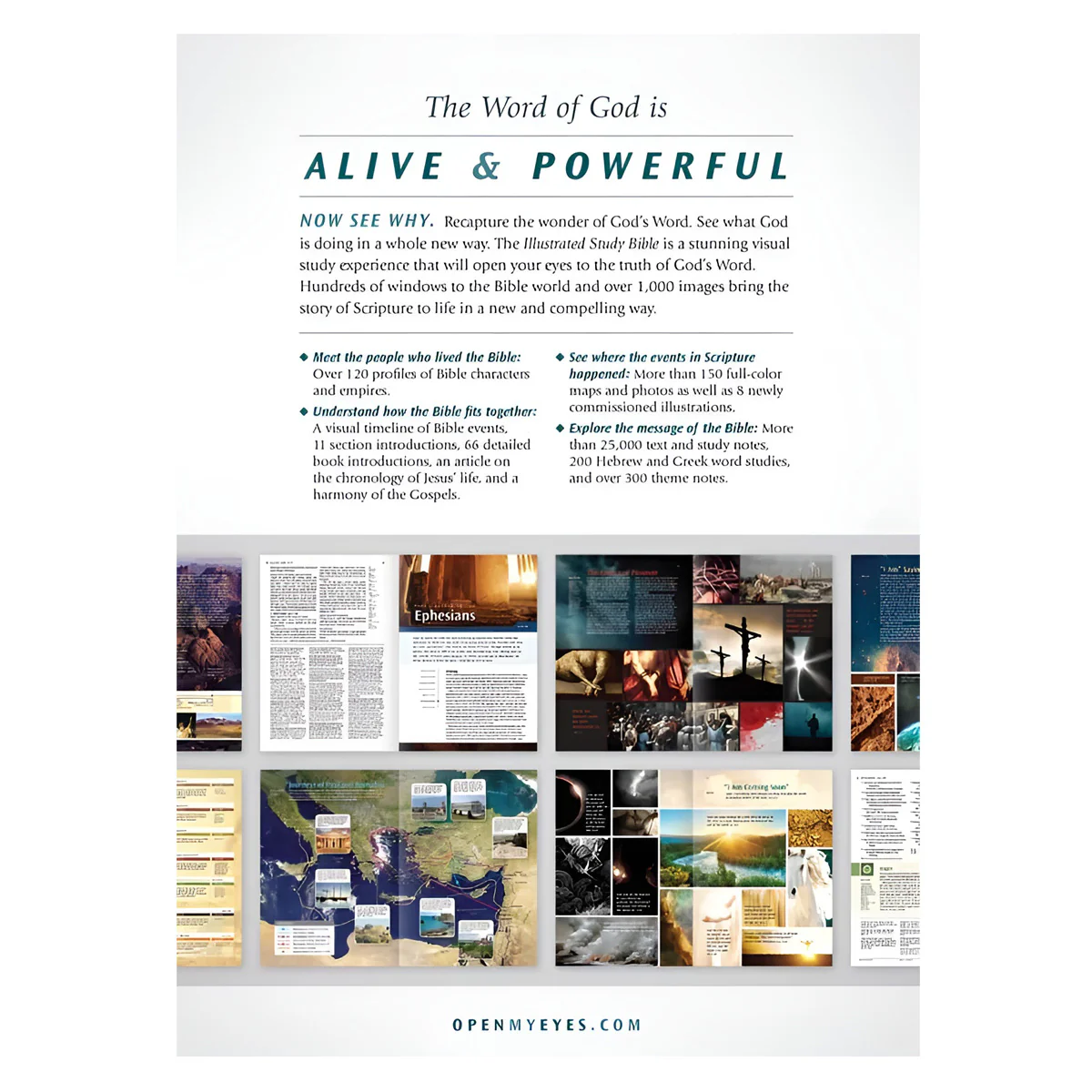 NLT Illustrated Study Bible (Hardcover) - Image 3
