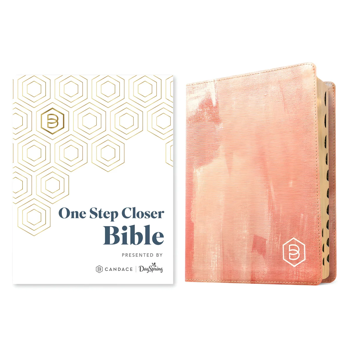 NLT Imitation Leather One Step Closer Bible - Image 3