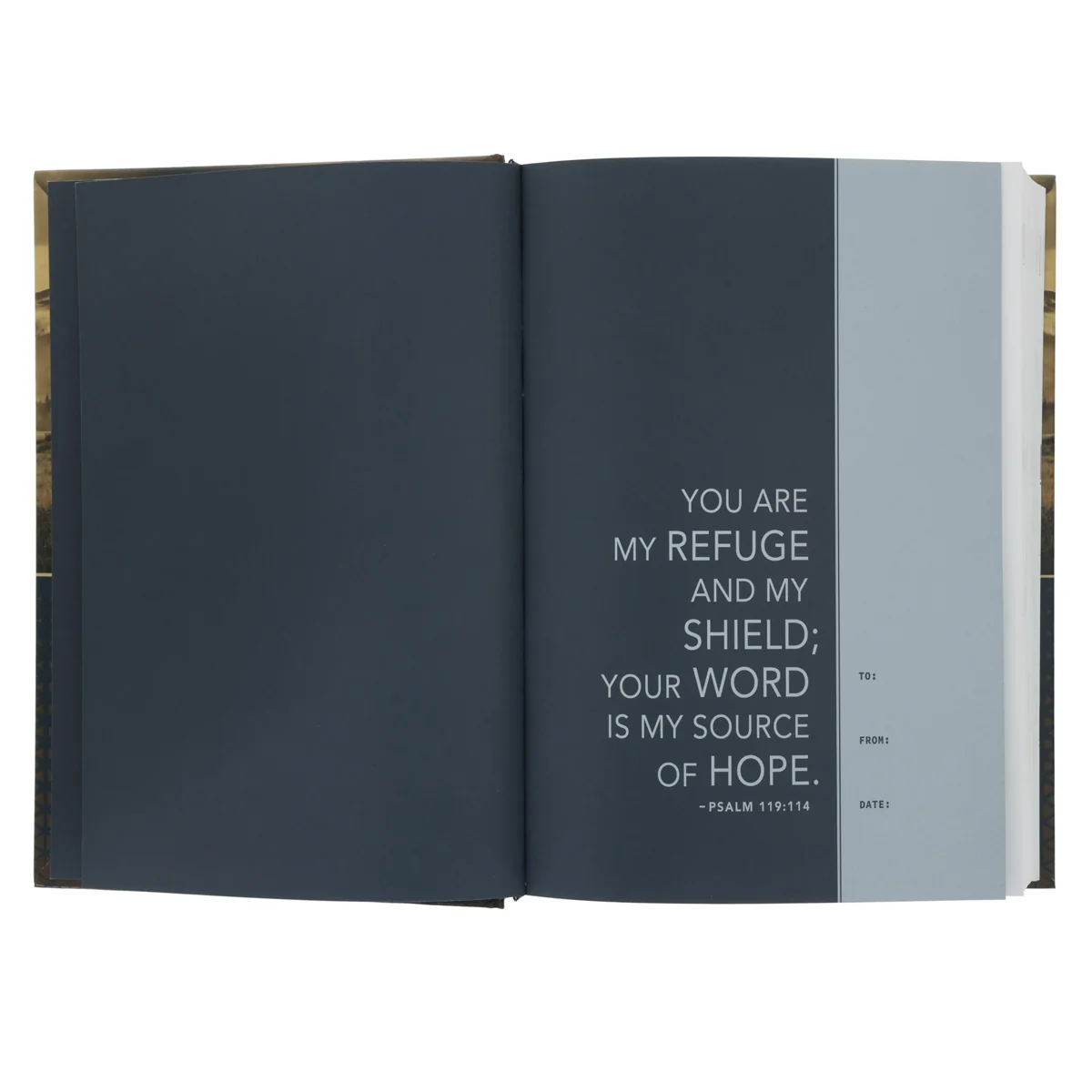 NLT Landscape Hardcover Everyday Devotional Bible for Men - Image 4