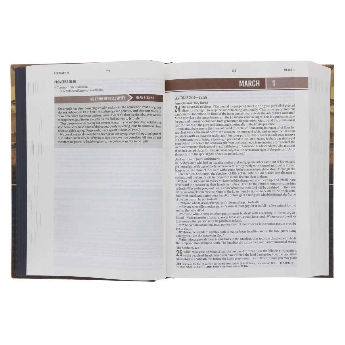 NLT Landscape Hardcover Everyday Devotional Bible for Men - Image 5