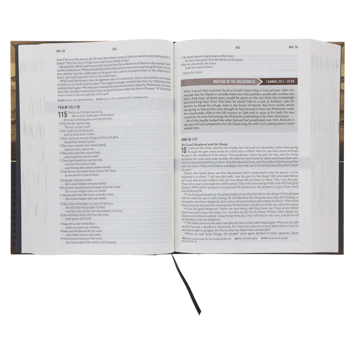 NLT Landscape Hardcover Everyday Devotional Bible for Men - Image 7