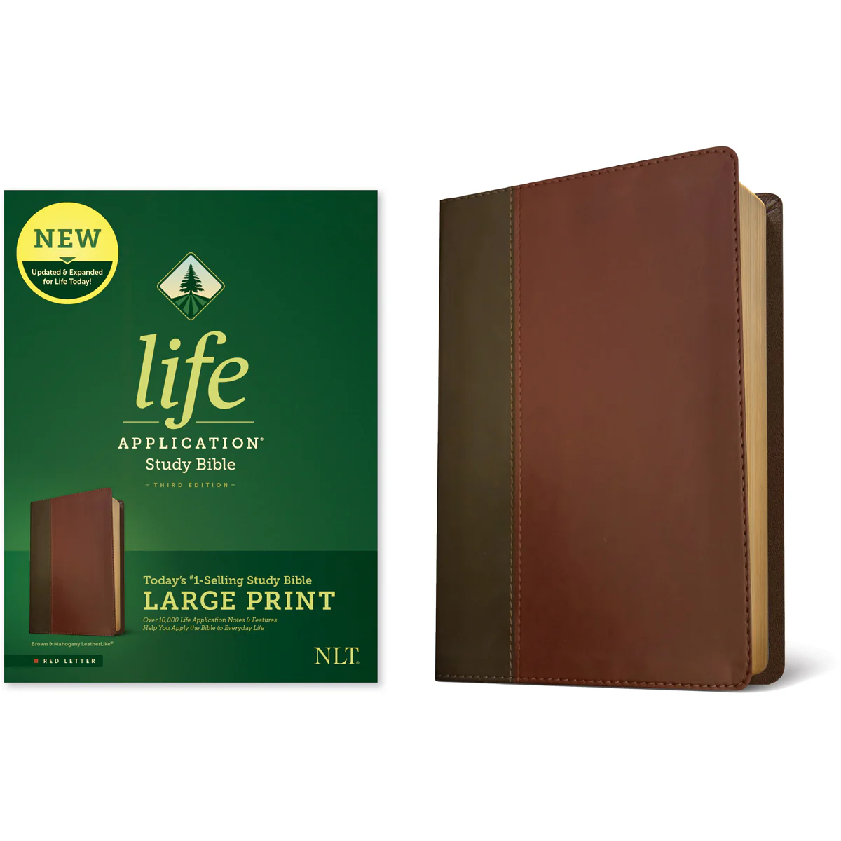 NLT LASB 3rd Edition LP Red Letter Brown / Mahogany (Imitation Leather) - Image 4