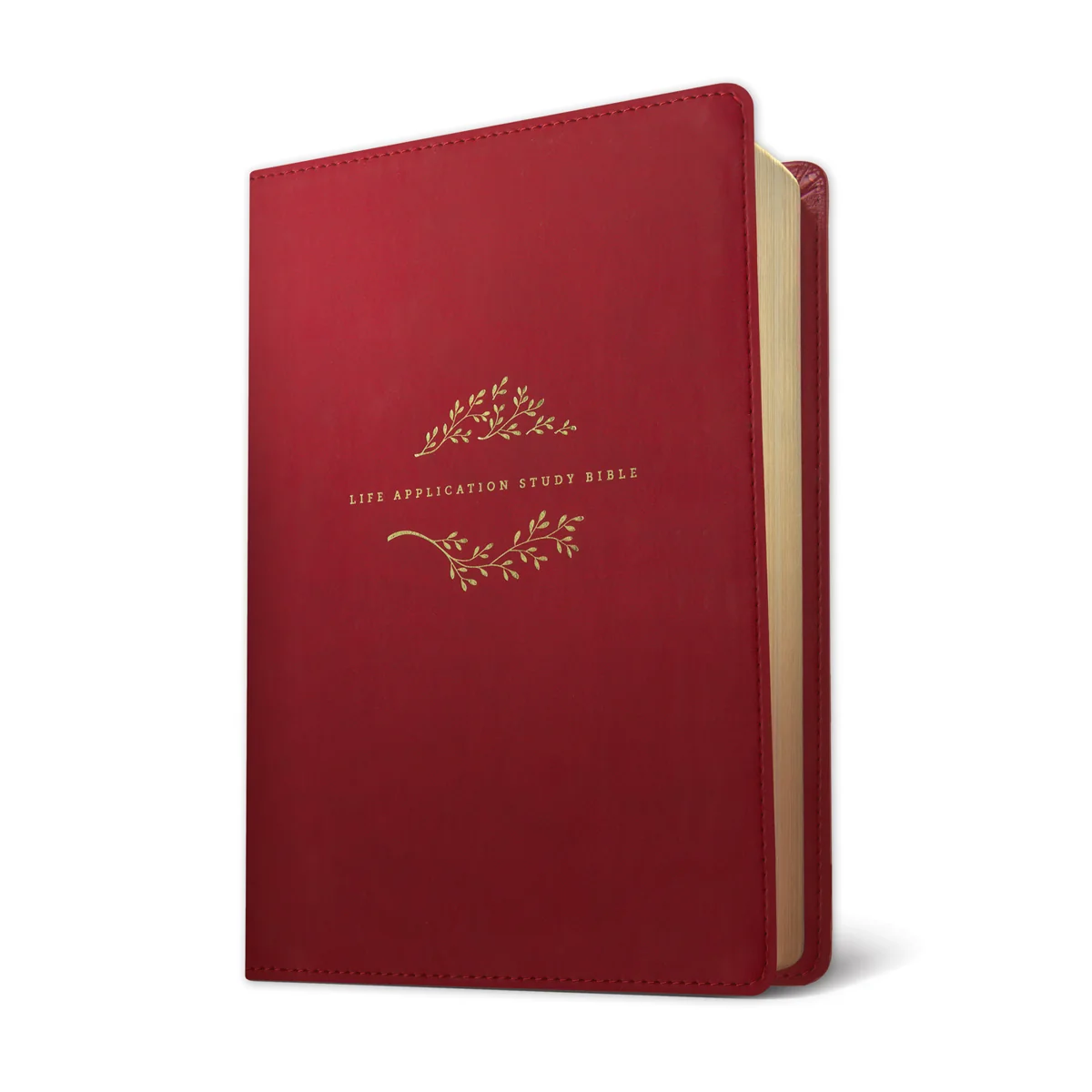 NLT Life Application Study Bible, Third Ed Large Print Indexed Red Letter Berry (Imitation Leather) - Image 3