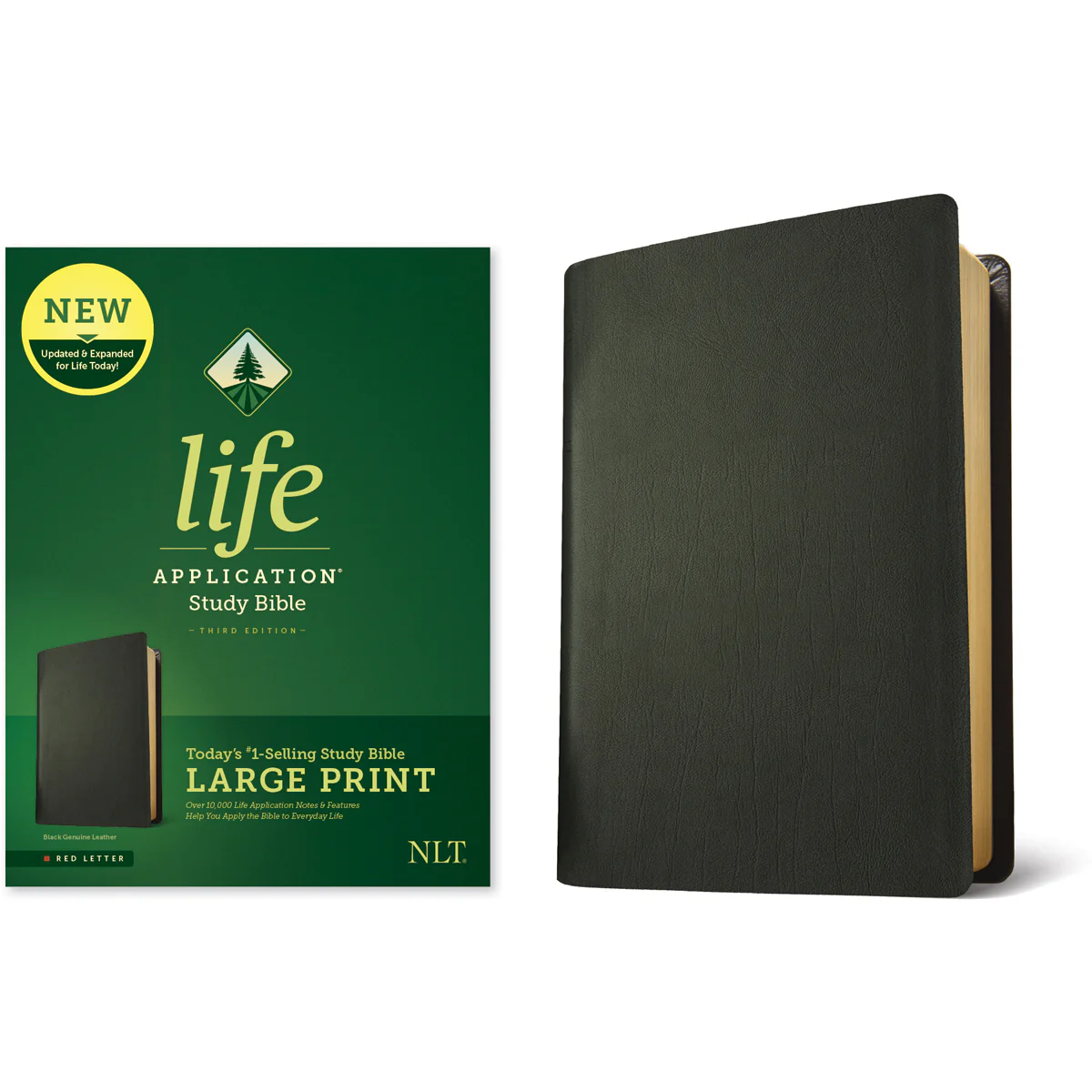 NLT Life Application Study Bible, Third Edition Large Print Red Letter Black (Genuine Leather) - Image 2