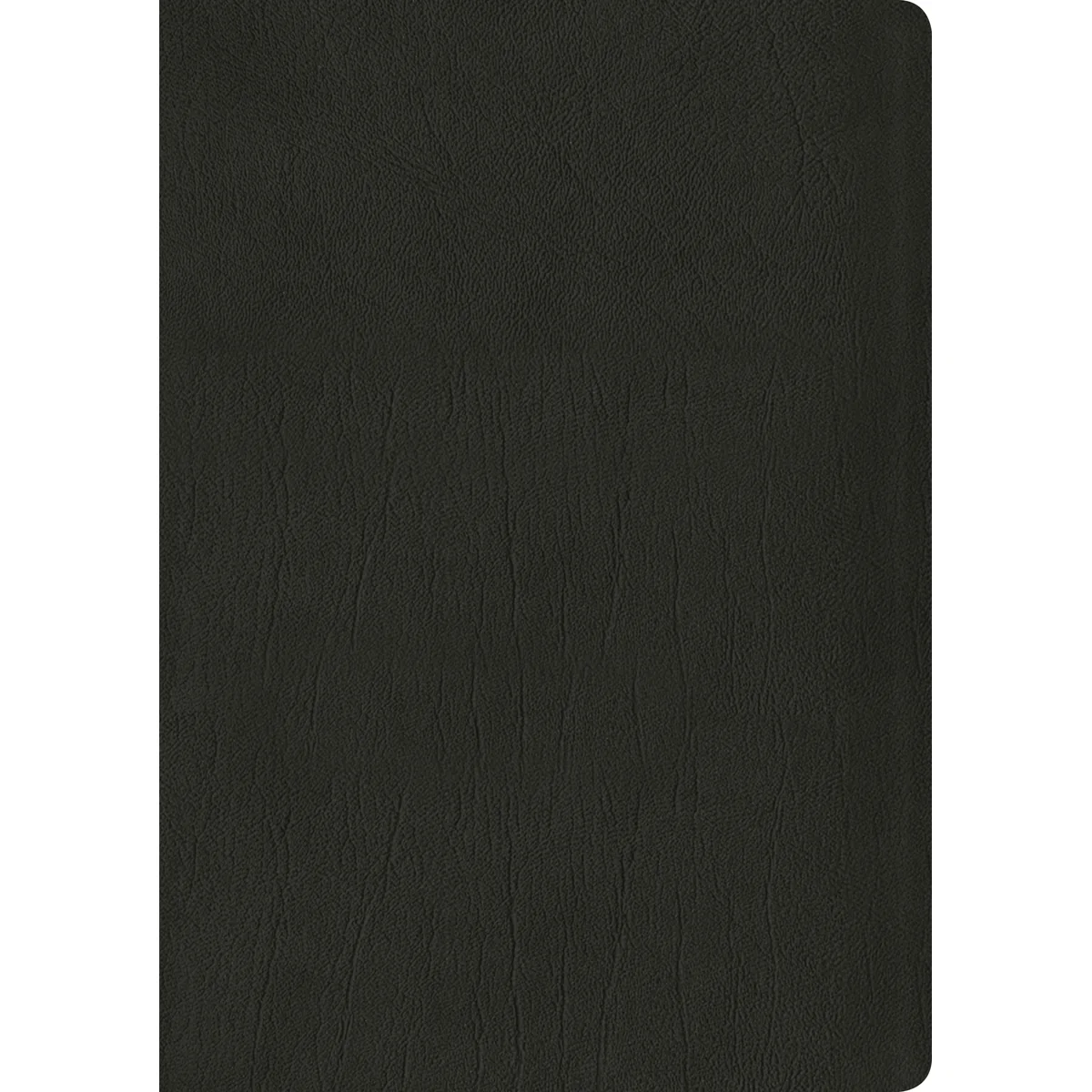 NLT Life Application Study Bible, Third Edition Large Print Red Letter Black (Genuine Leather) - Image 3