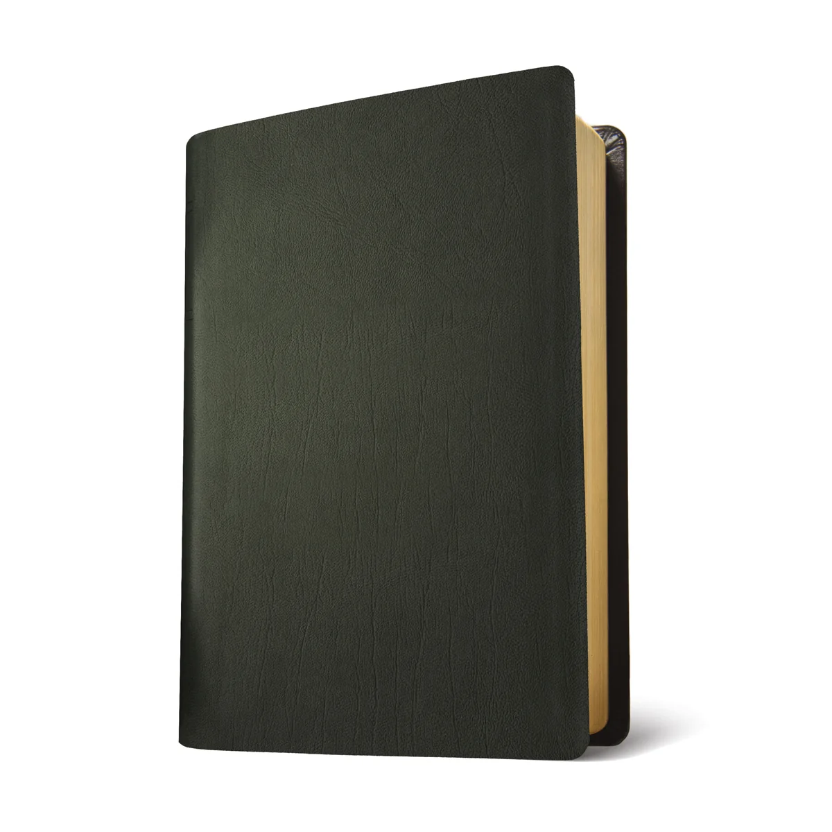 NLT Life Application Study Bible, Third Edition Large Print Red Letter Black (Genuine Leather) - Image 4