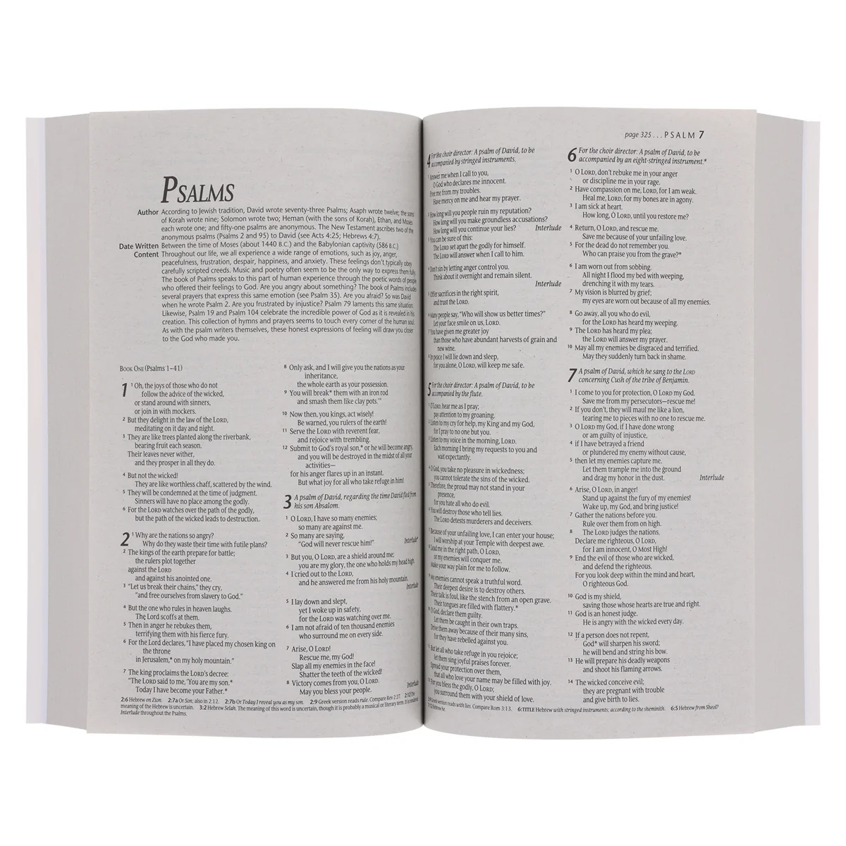 NLT Ocean Paperback Outreach Bible - Image 5