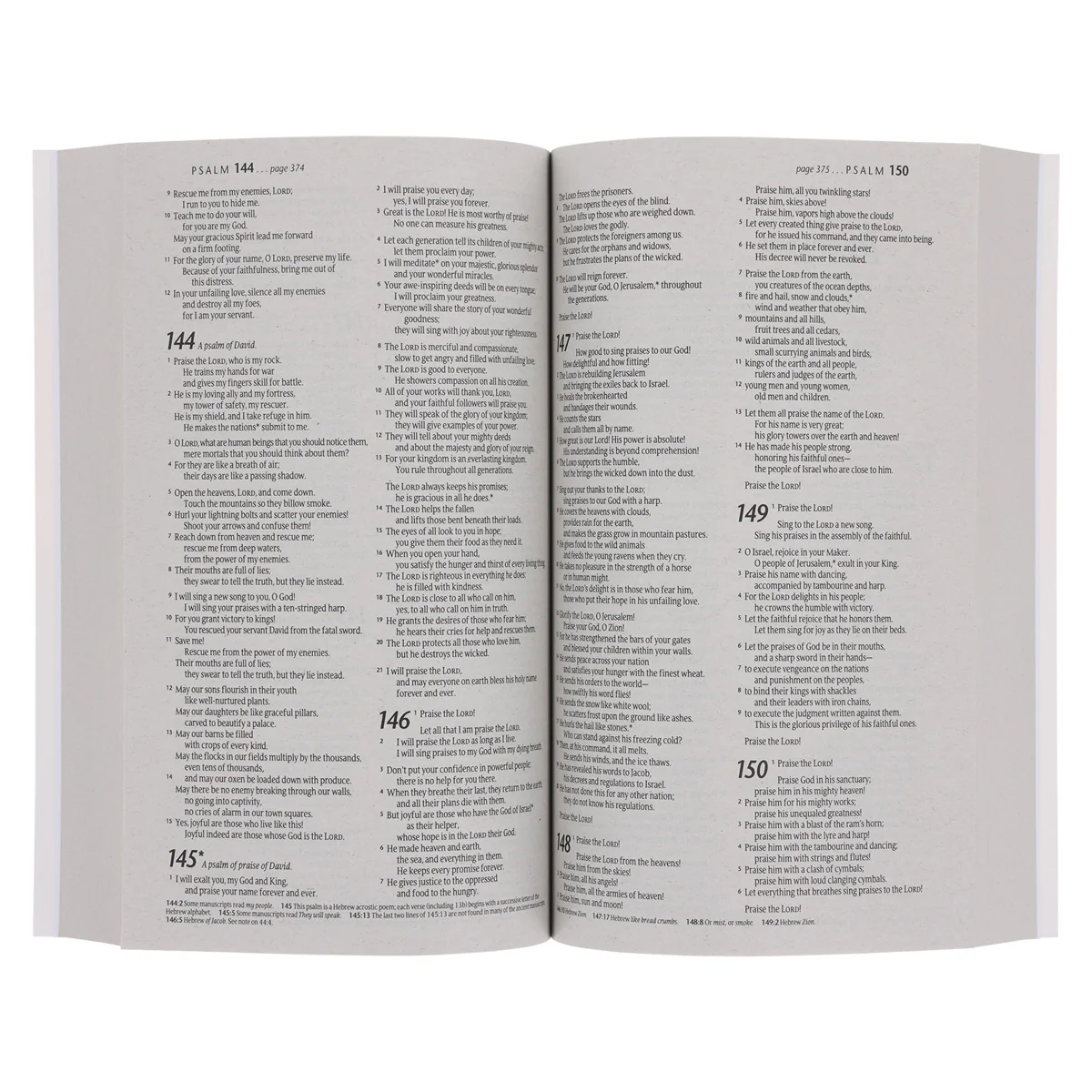 NLT Ocean Paperback Outreach Bible - Image 7