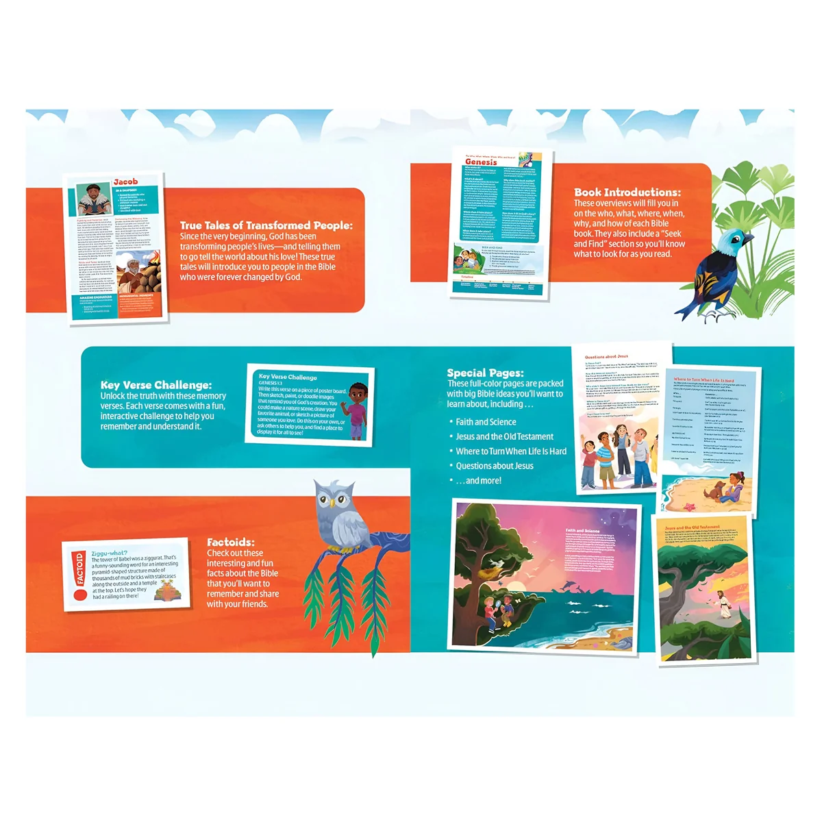 NLT Paperback Go Bible for Kids - Image 2