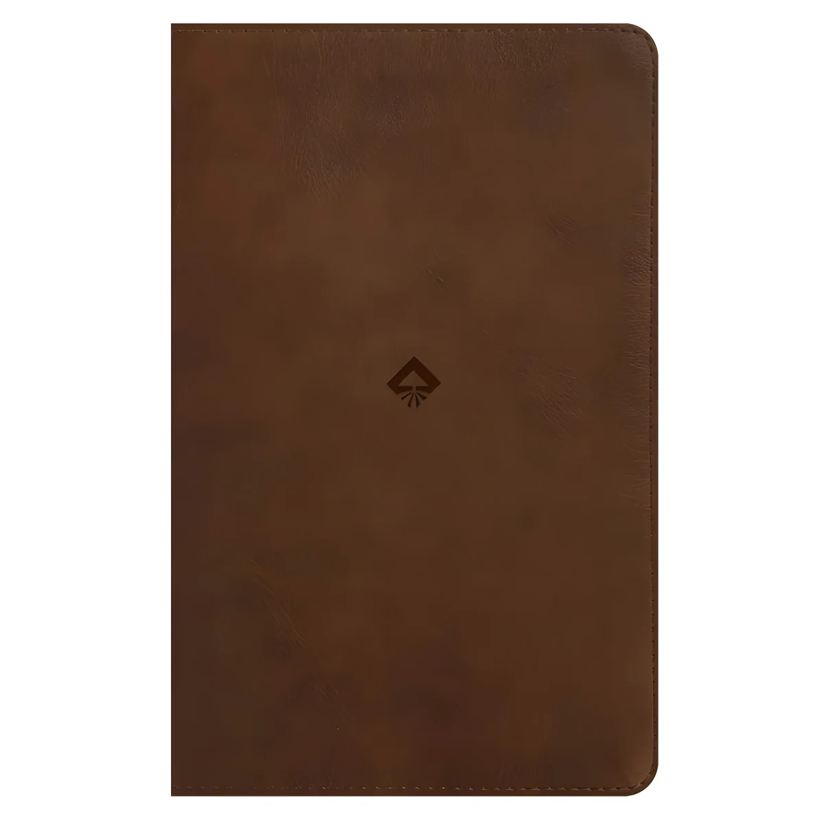 NLT Rustic Brown Imitation Leather Filament Student Life Application Bible Red Letter