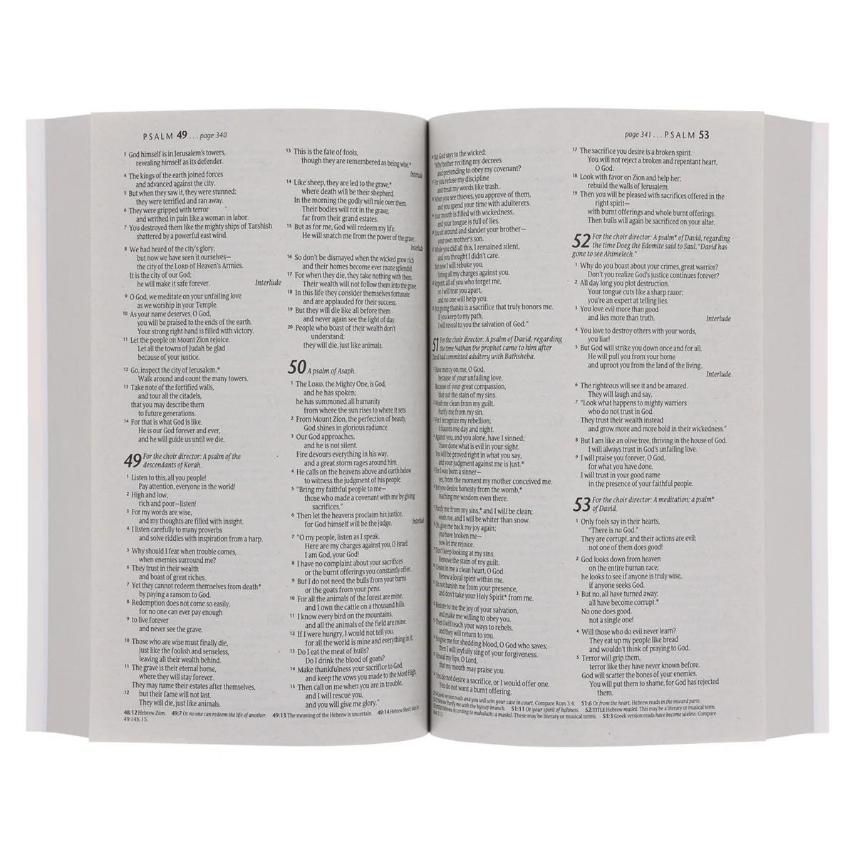 NLT Sunset Hills Paperback Outreach Bible - Image 6
