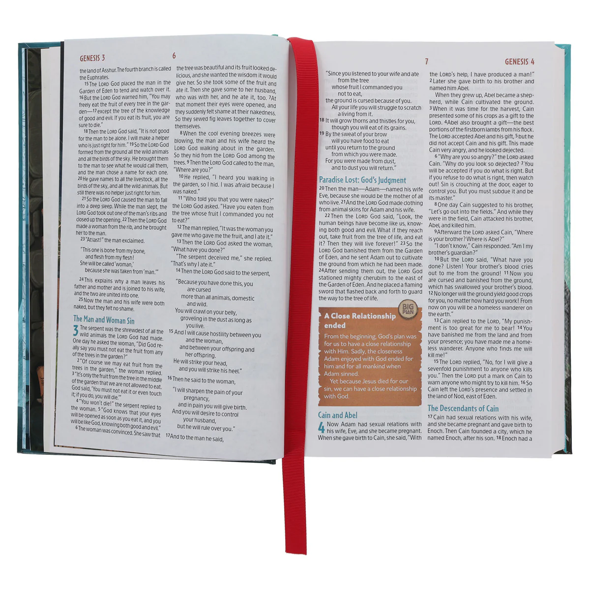 NLT Teal Hardcover The Discovery Bible - Image 7