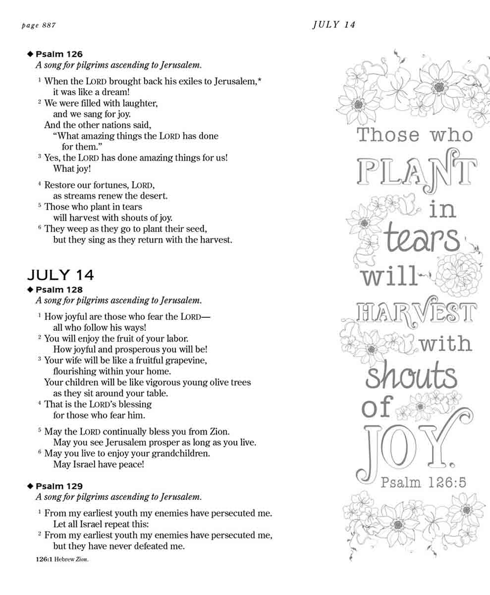 NLT The One Year Chronological Bible Expressions (Paperback) - Image 2