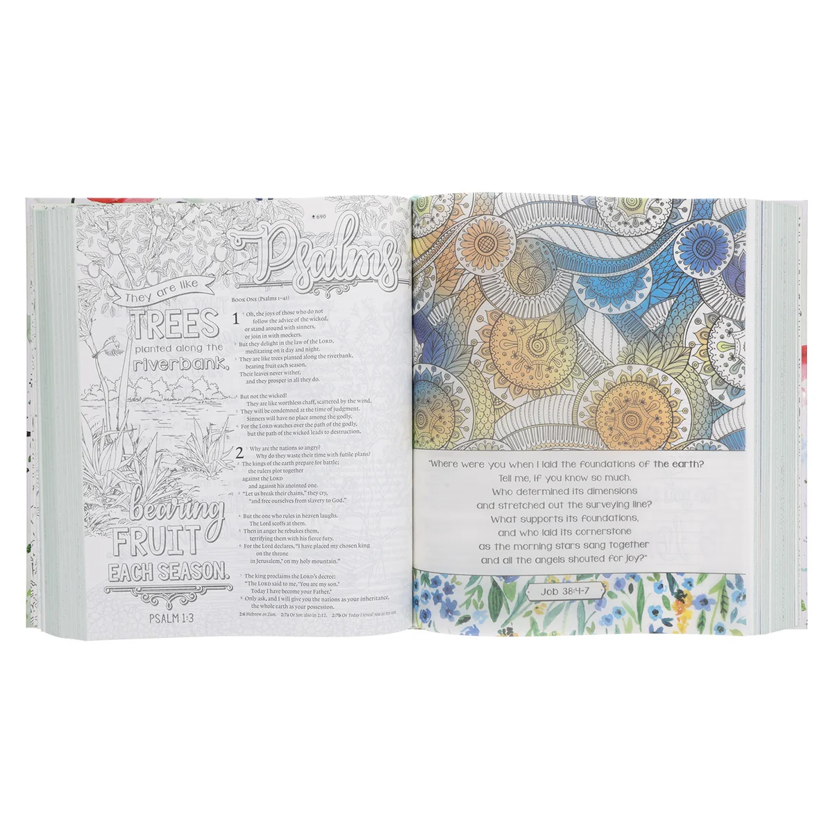 NLT Wildflower Meadow Hardcover Inspire Faith Filament-Enabled Bible Large Print - Image 4
