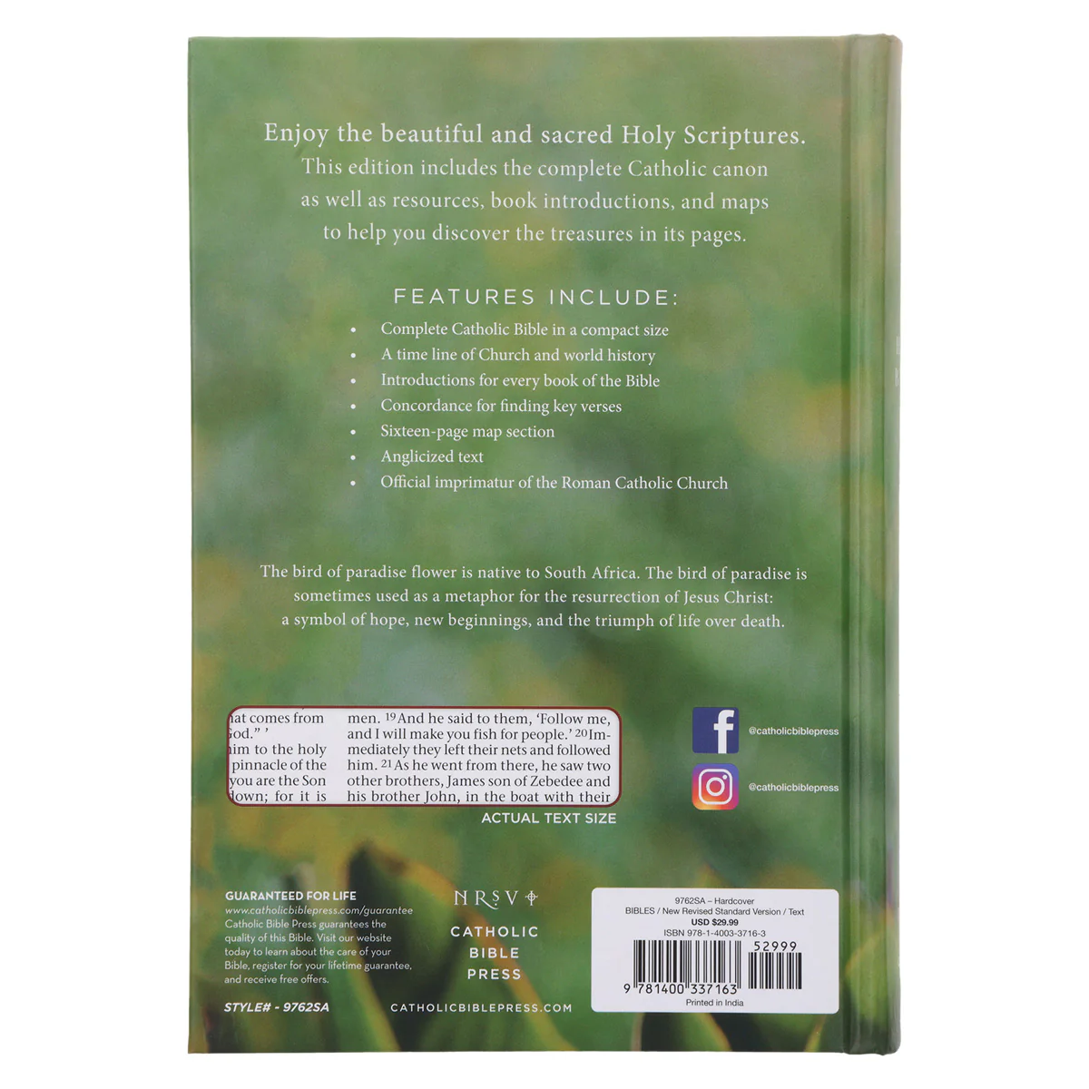NRSV Bird of Paradise Hardcover Catholic Edition Holy Bible Global Cover Series - Image 2