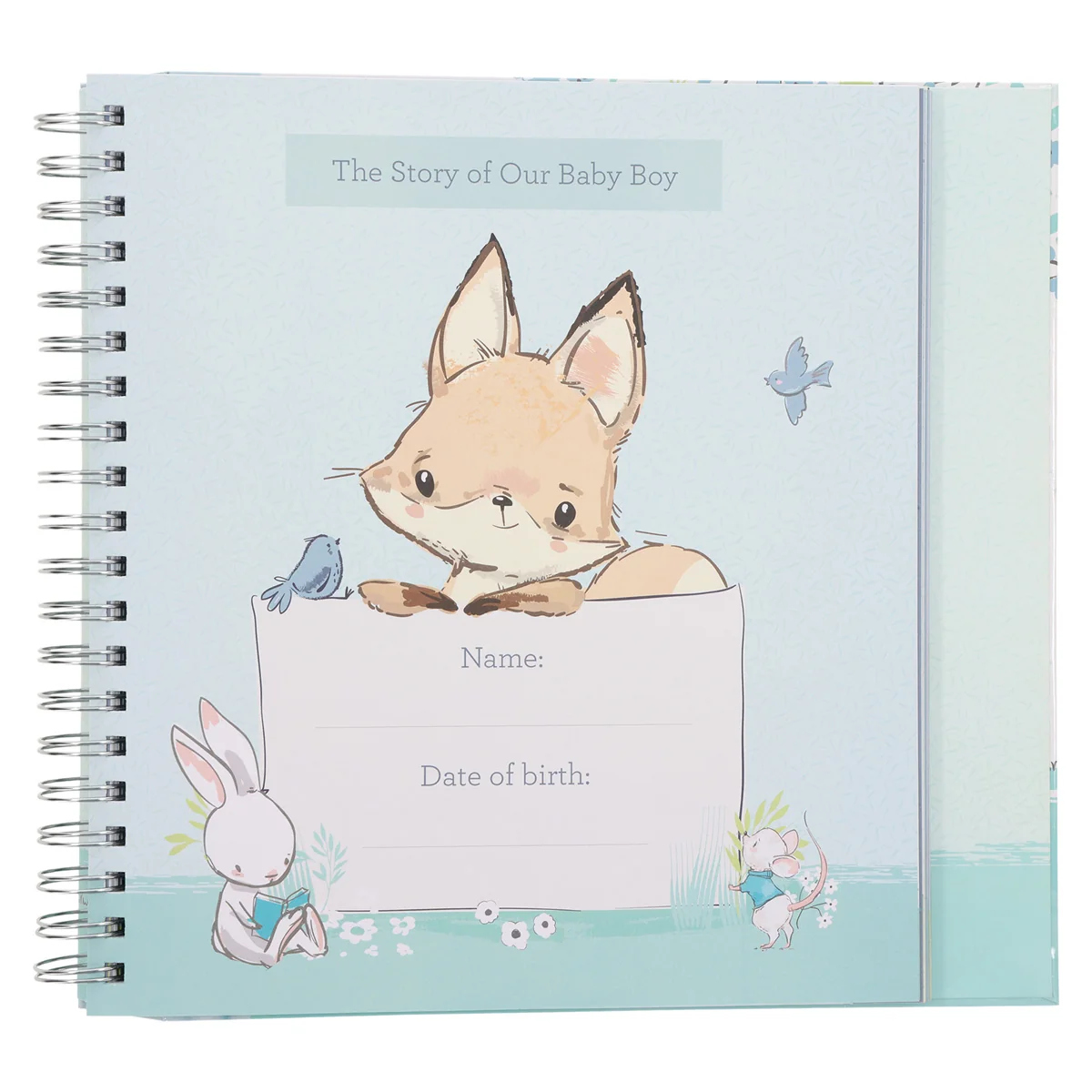 Our Baby Boy's First Year (Padded Hardcover) - Image 4