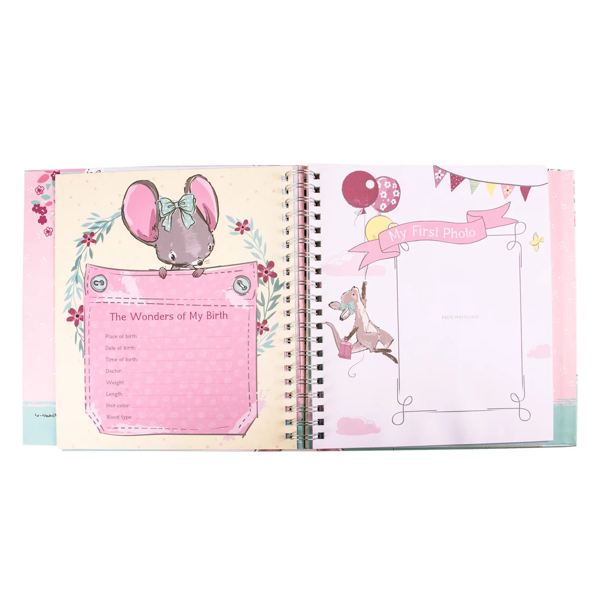 Our Baby Girl's First Year (Padded Hardcover) - Image 5