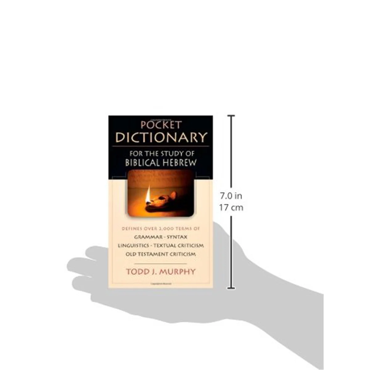 Pocket Dictionary For The Study Of Biblical Hebrew (The IVP Pocket Reference)(Paperback) - Image 2