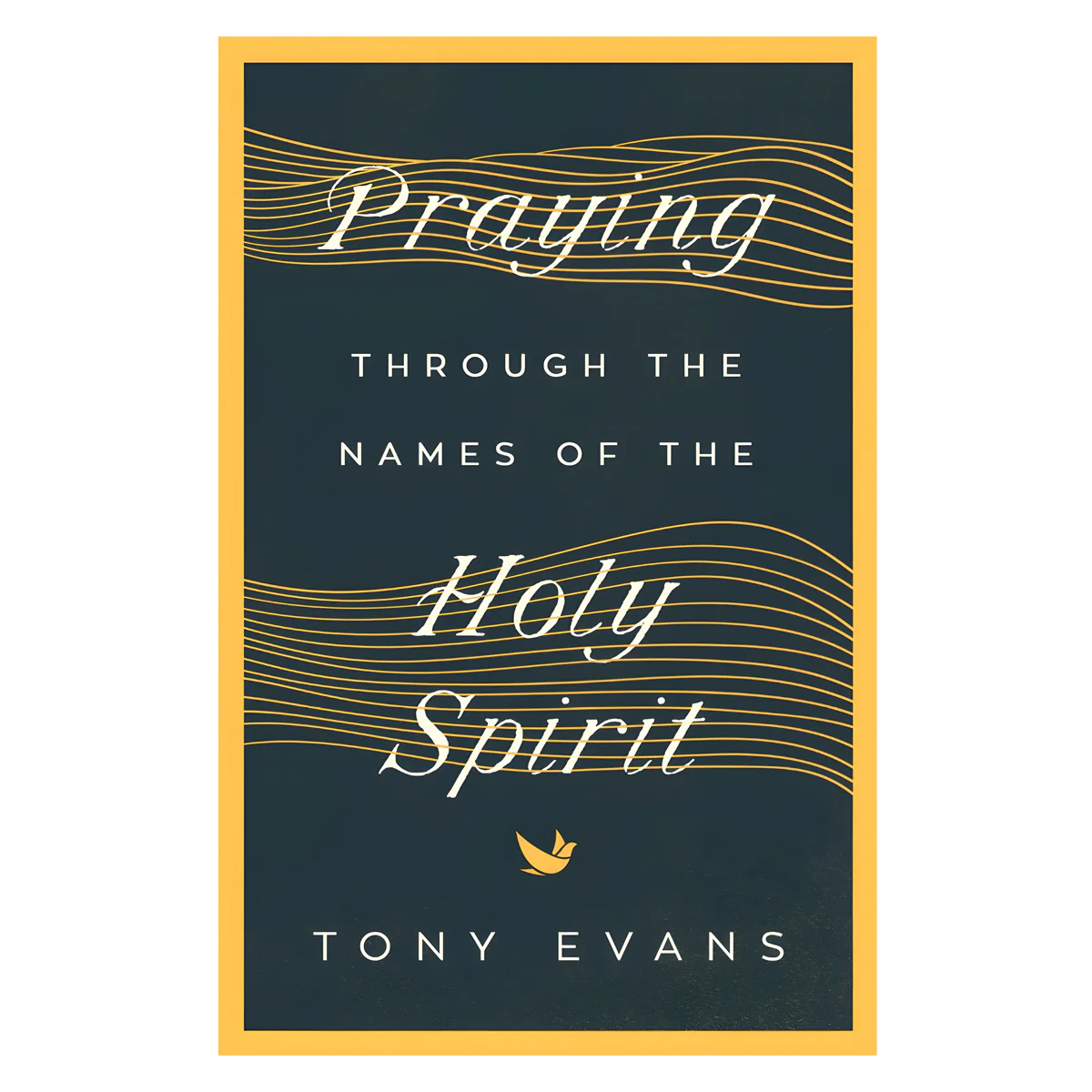 Praying Through the Names of the Holy Spirit - The Names of God Series (Paperback)