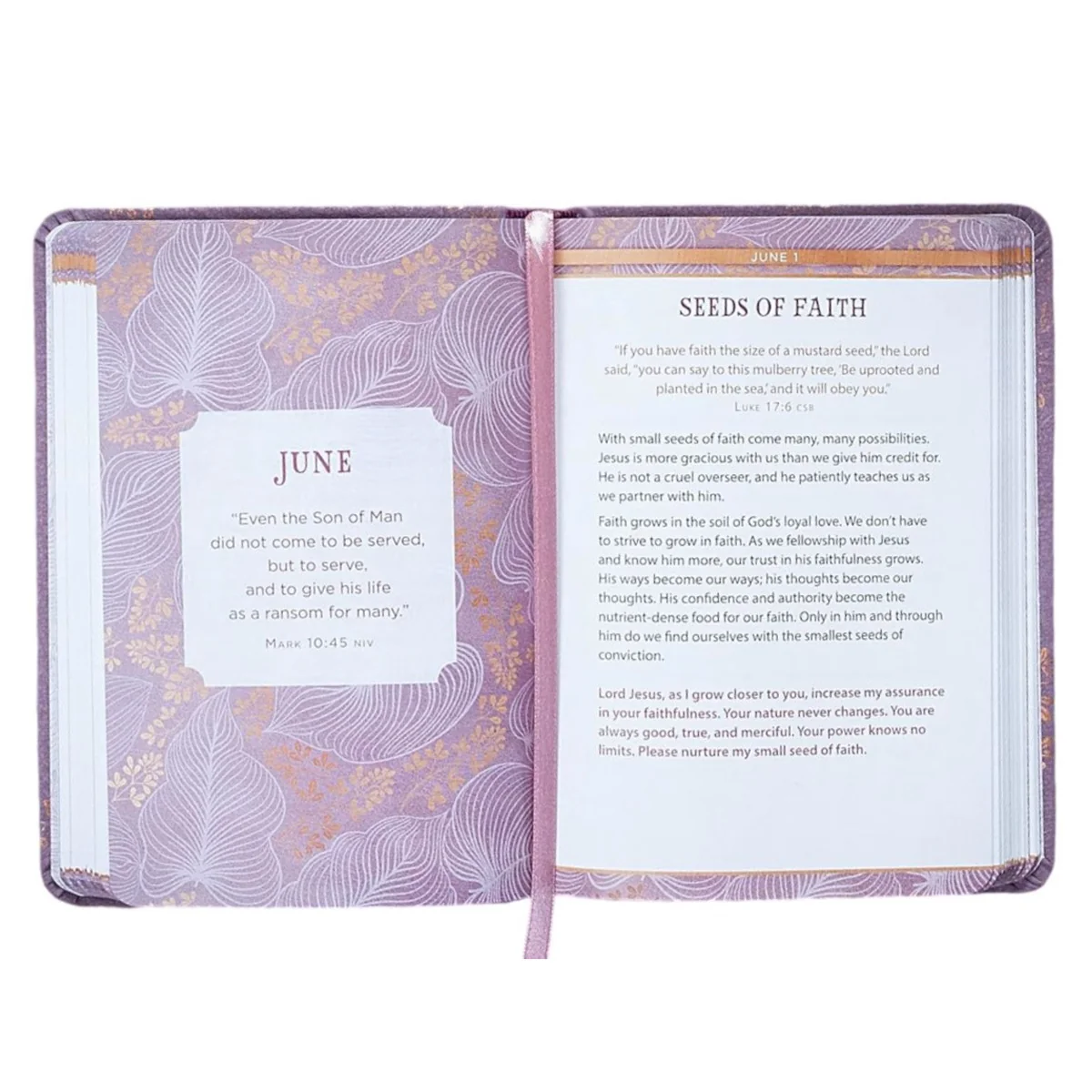 Still Small Voice: 365 Meditations On The Words Of Jesus IM - Image 3