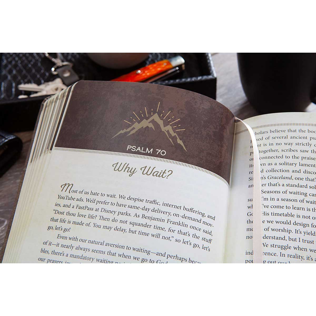 The Ascent: A Devotional Adventure Through The Book Of Psalms (Imitation Leather) - Image 4
